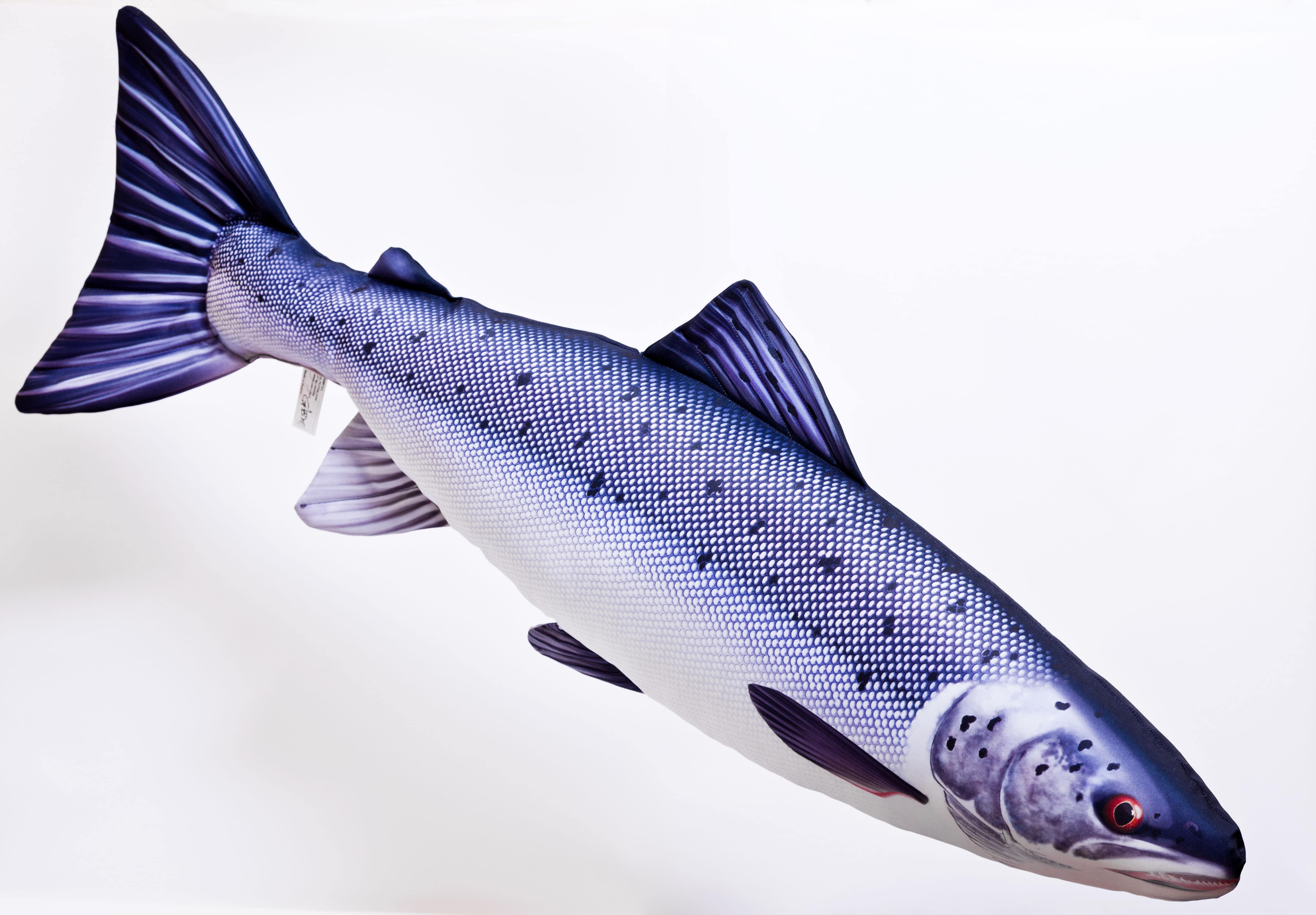 Mjukisfisk. Atlantlax, XL 90cm